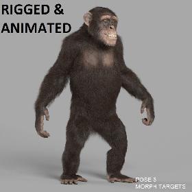 3D Woman Rigged VRayNext